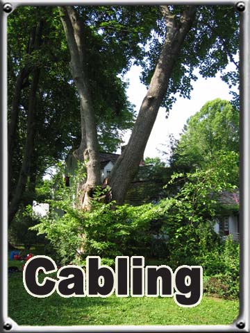 Cabling